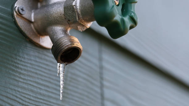 Best Sewer Line Repair  in Turners Falls, MA